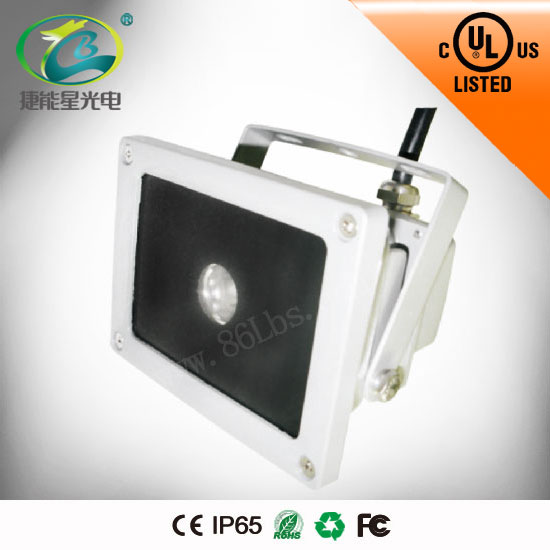 LED泛光灯 小角度10W