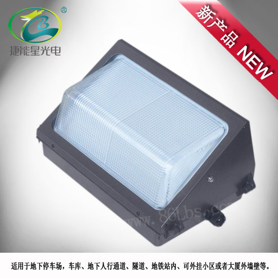 60W LED壁灯 可选功率40W~60W